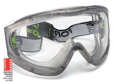 GOGGLE GUARDIAN CLEAR