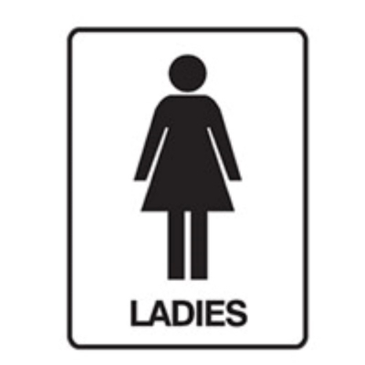 SIGN LADIES 300X450MM POLY 841501